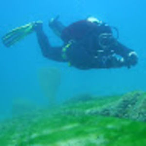 Meet your Posher, Jon